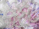 Close-up of a clear retainer in its case with dollar bills beside it.