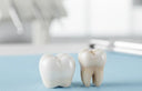 Zirconia crown compared with natural tooth appearance