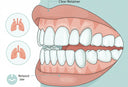 Dental illustration showing relaxed jaw while wearing a retainer