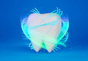 Chew on This: The Unexpected Science of How Aligners Train Your Brain