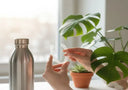 Clear aligners displayed with eco-friendly lifestyle products.